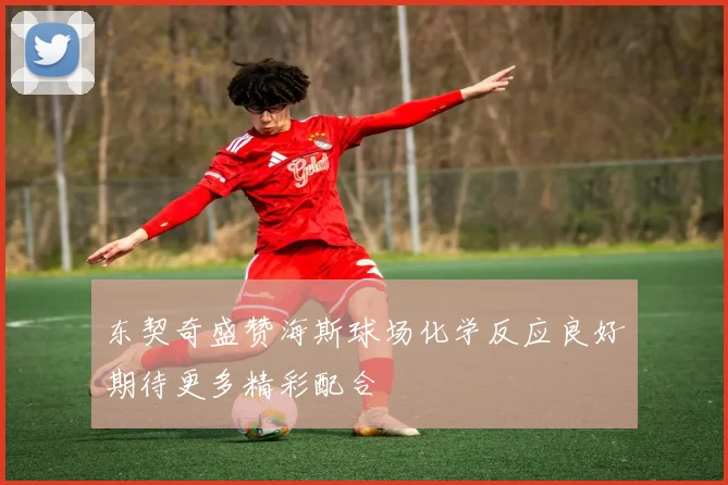 东契奇盛赞海斯球场化学反应良好期待更多精彩配合