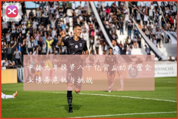 中赫九年投资八十亿背后的民营企业债务危机与挑战